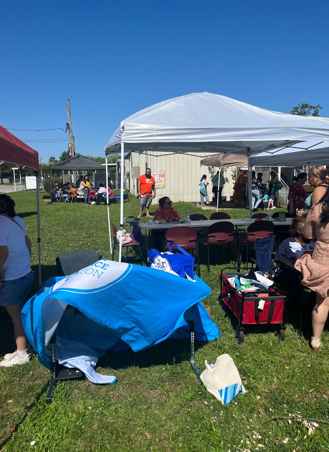 image of the organization in action