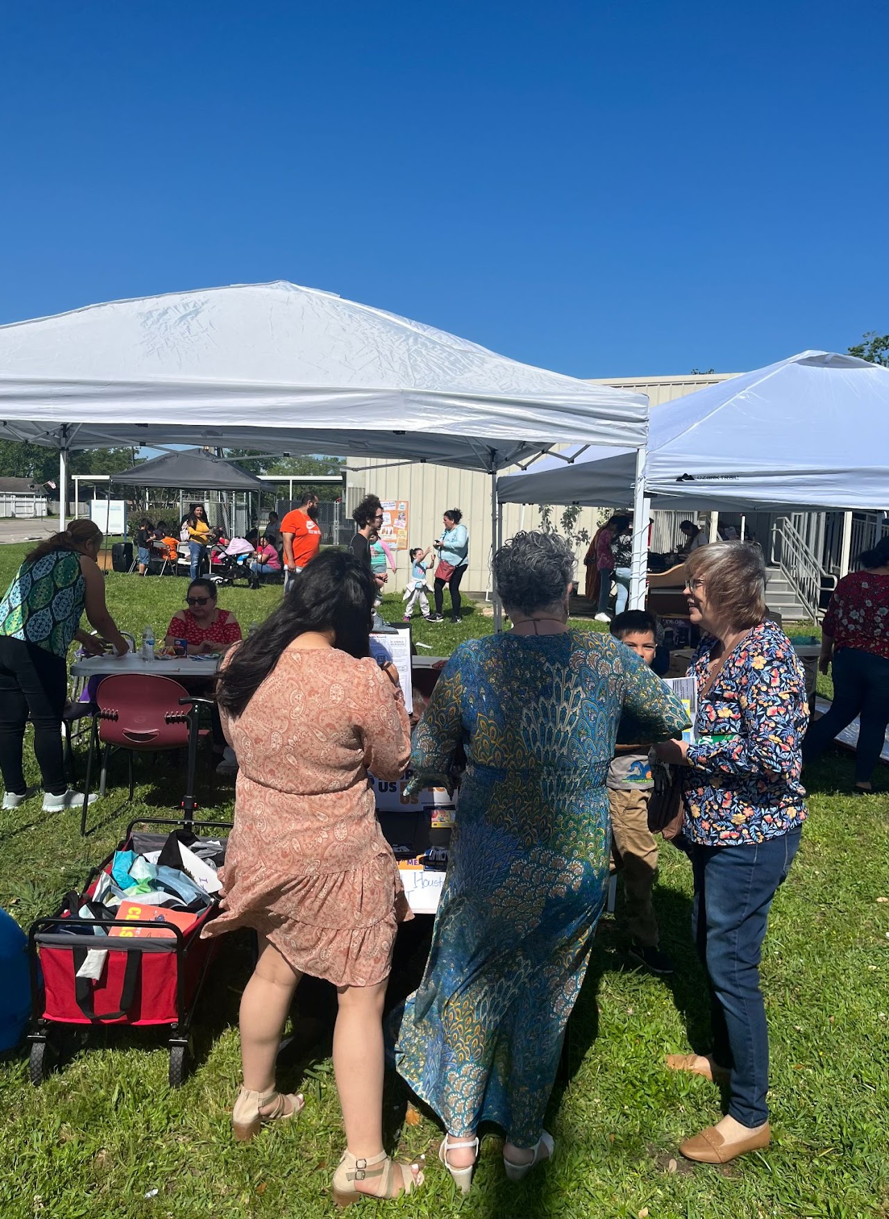 image of the organization in action