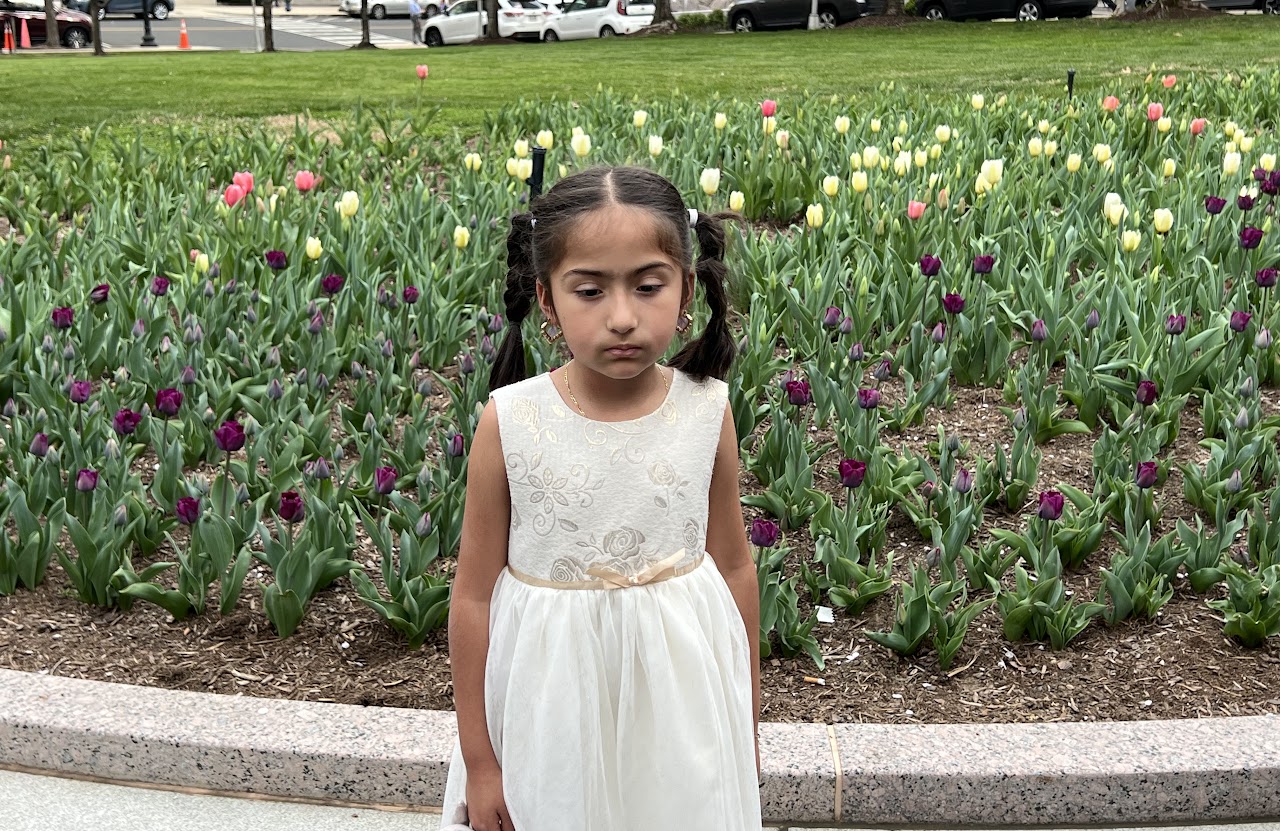 image of the organization in action