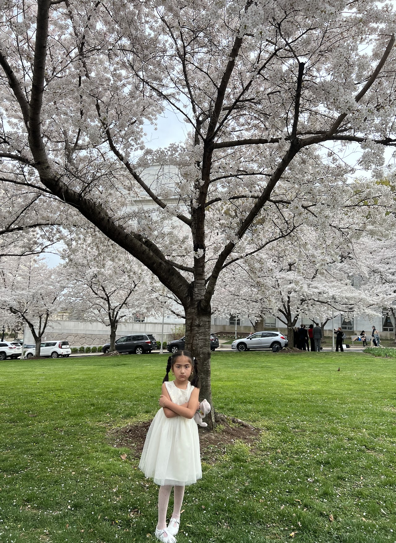 image of the organization in action