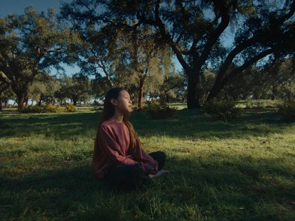 A licensed film Frame