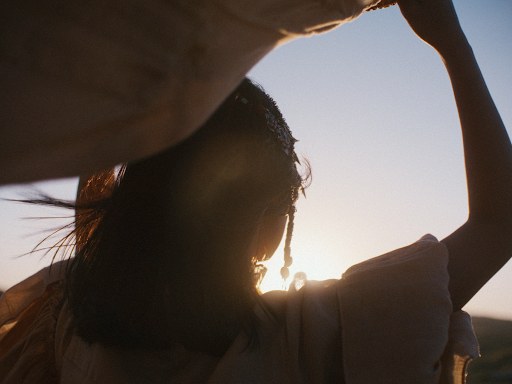 A licensed film Frame