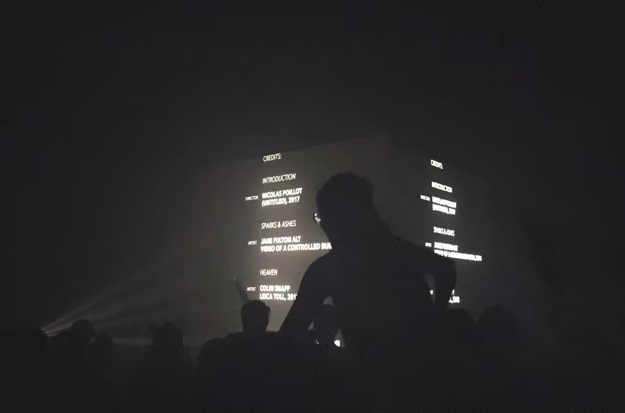 A crowd at a film festival screening.