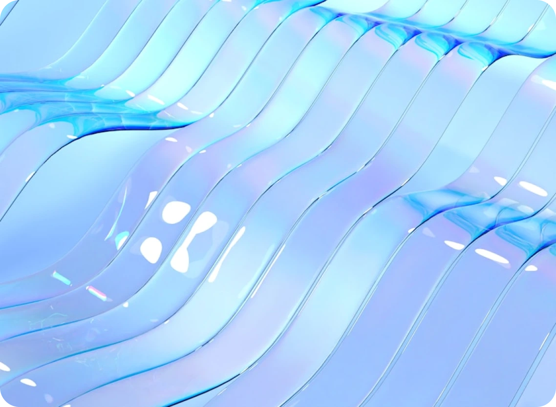 Project V1 Image