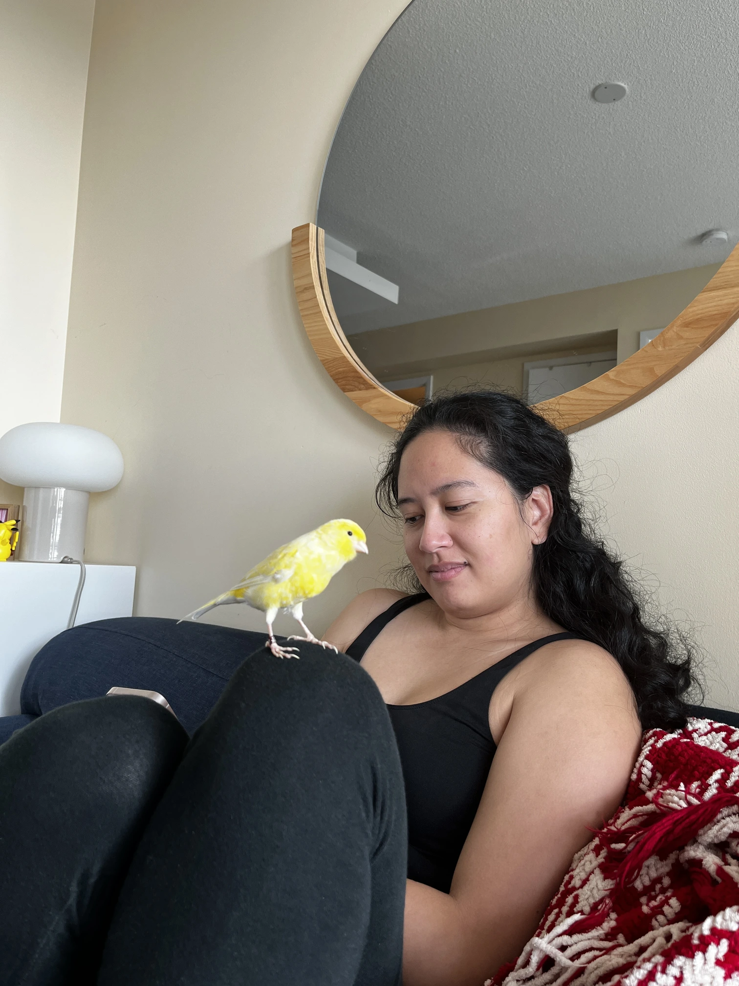 Koby perched on top of Leanne's knee while sitting on the couch.