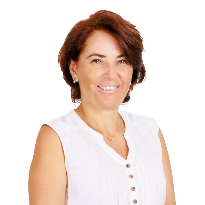 Aysin Dedekorkut-Howes