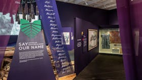 Objects on display in an exhibition space
