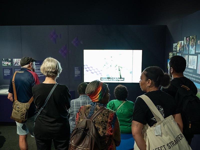 Exhibition visitors in front of a digital story