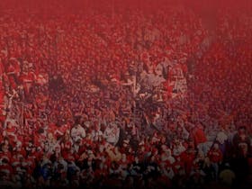 British & Irish Lions Tour