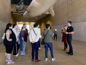 Visitors join a tour in the Whale Mall outside Queensland Museum Kurilpa