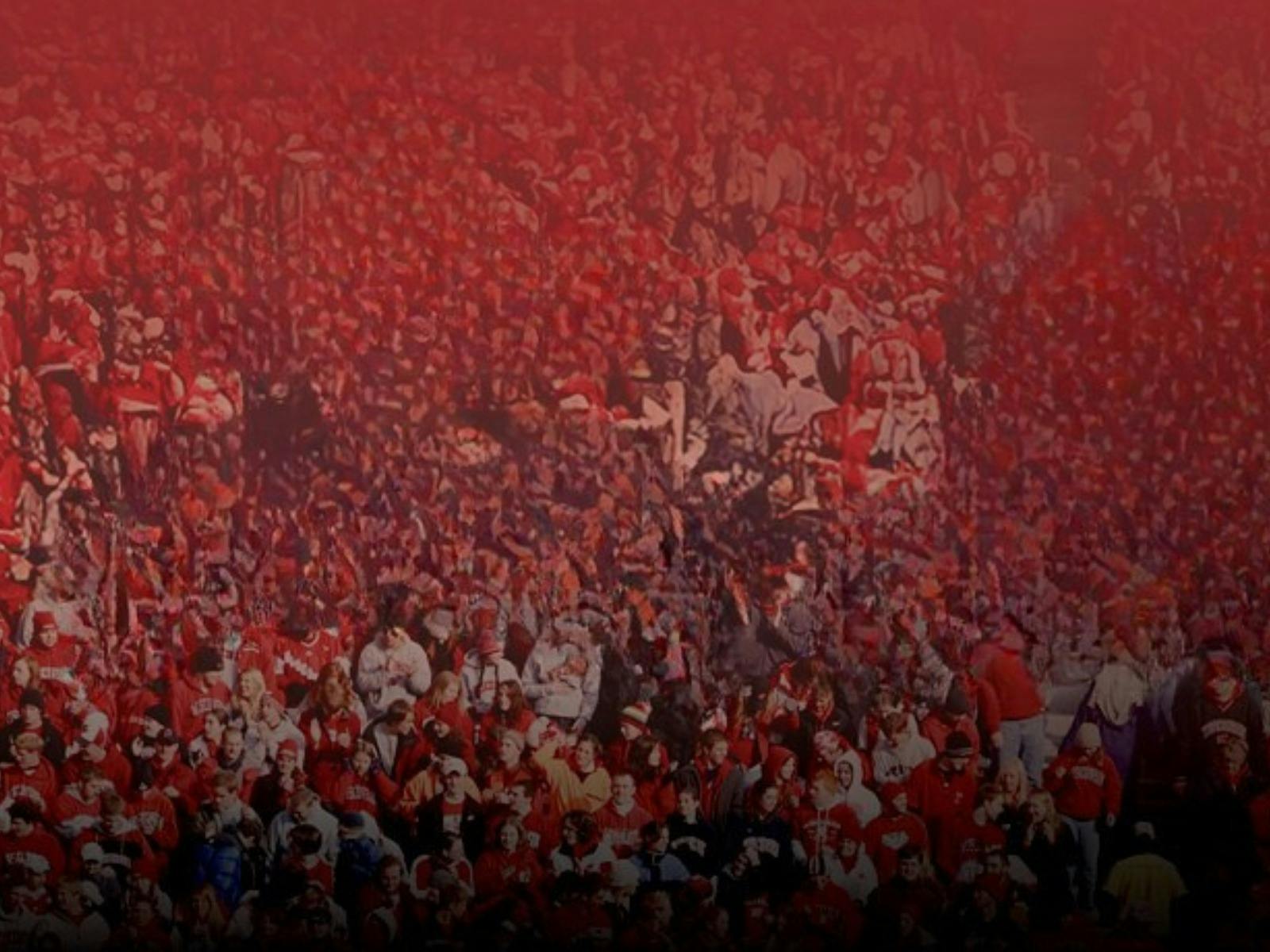British & Irish Lions Tour