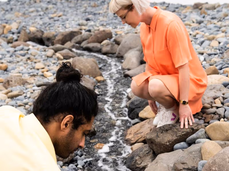 Olafur Eliasson's Riverbed 2014