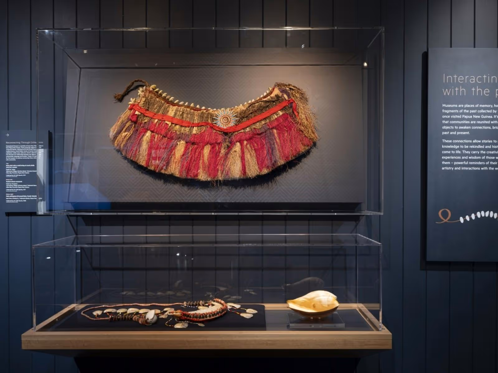 A dark gallery space with illuminated showcases displaying a grass skirt, shell and chest ornament