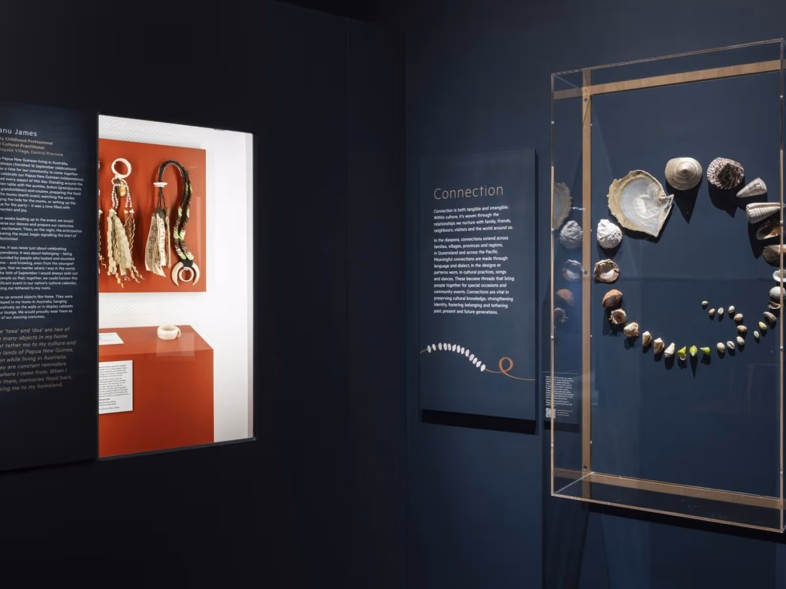 A dark gallery with illuminated showcases featuring shells and objects from Papua New Guinea