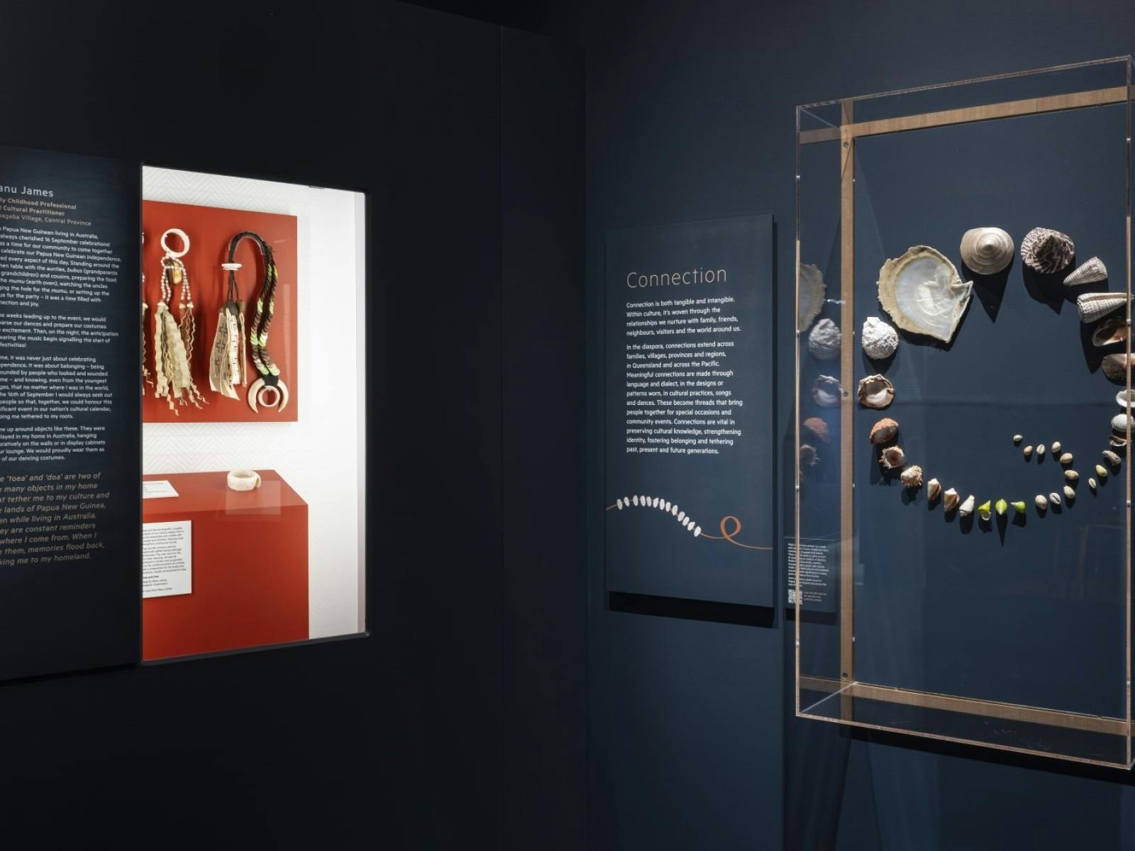 A dark gallery with illuminated showcases featuring shells and objects from Papua New Guinea
