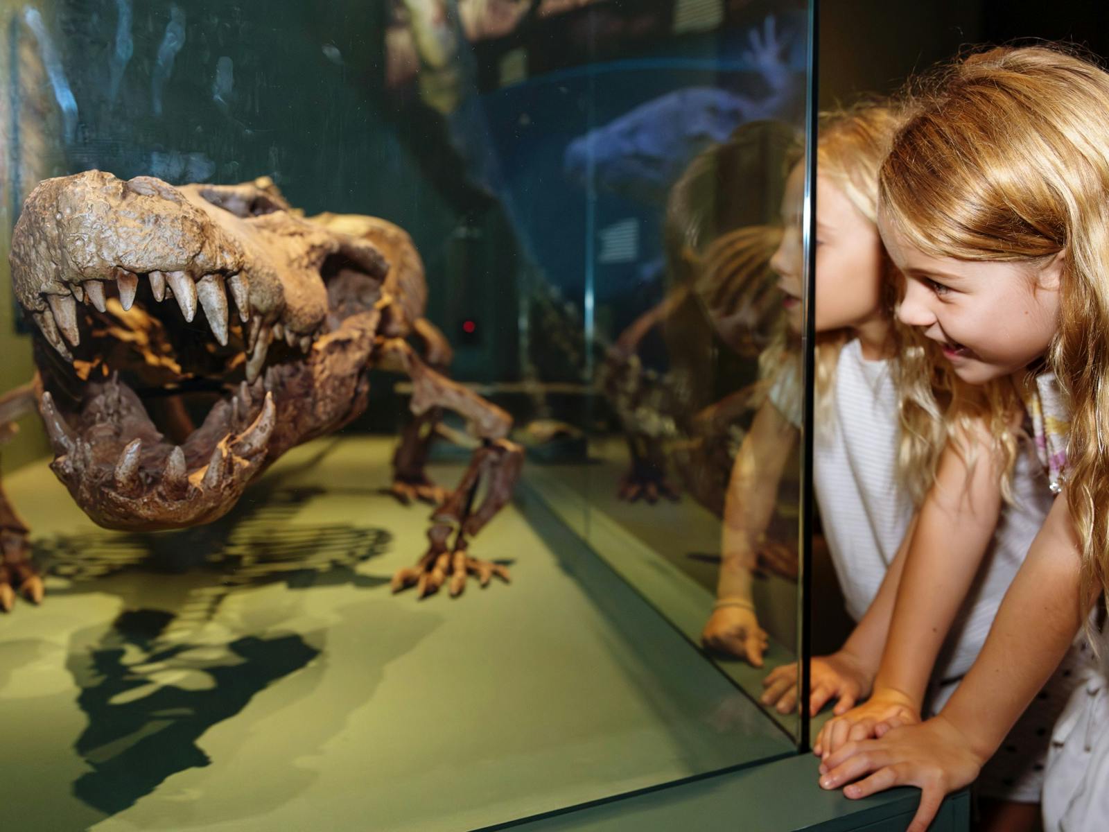 Two children look in a museum showcase