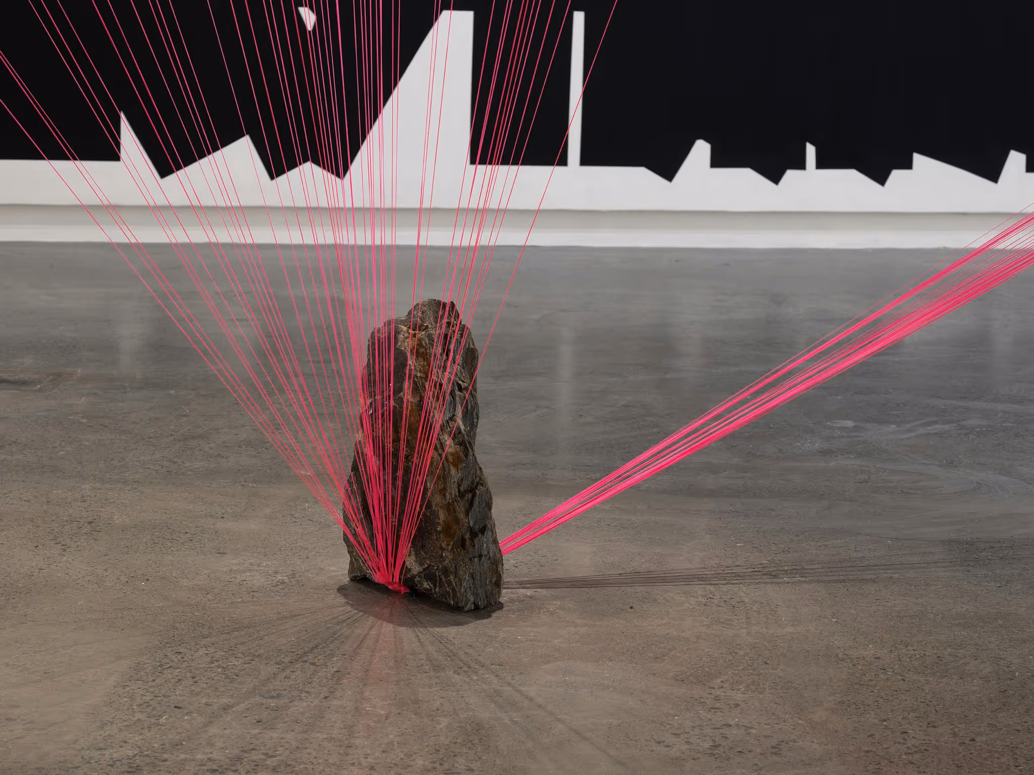 An installation view of 'Cathering Griffiths: Out of Line' at Griffith University Art Museum