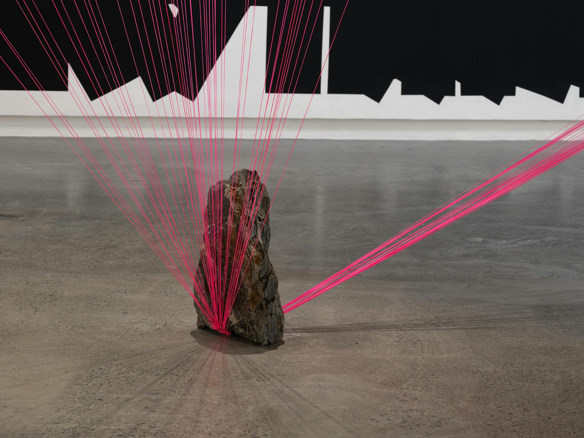 An installation view of 'Cathering Griffiths: Out of Line' at Griffith University Art Museum