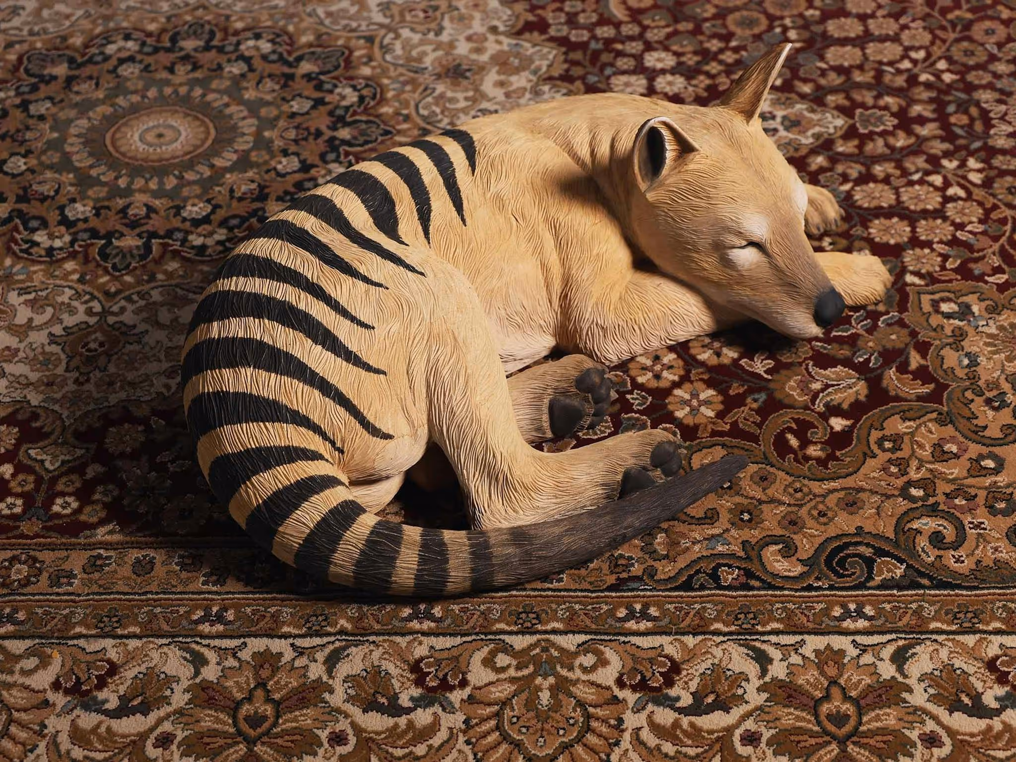 A tasmanian tiger sleeping on a persian style rug.