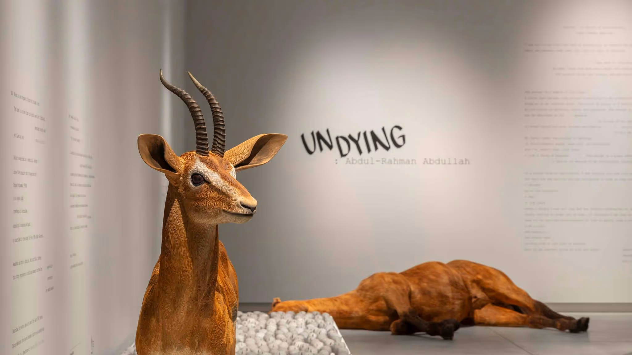 An image of a gazelle  in a gallery.