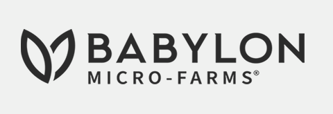 Logo 6