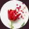 Pixelated tulip