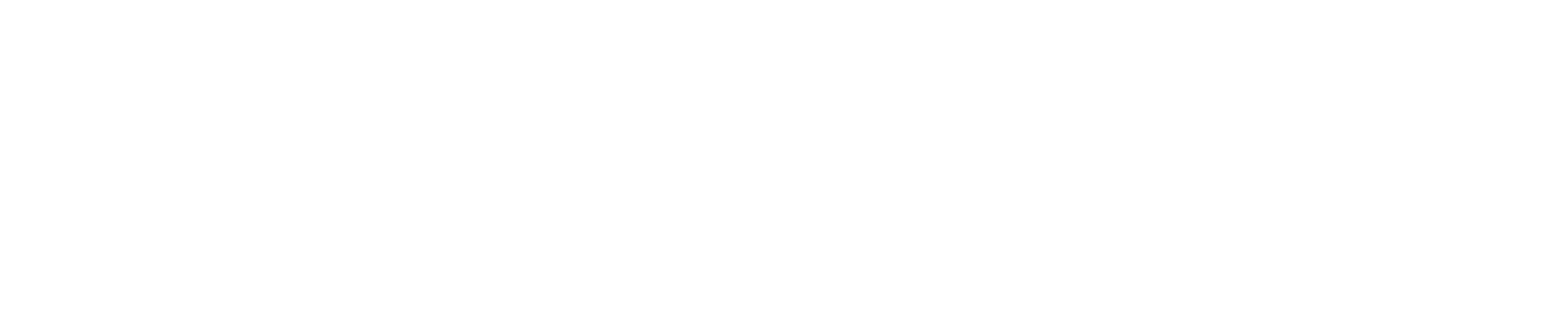 Senihelp24 Logo weiß