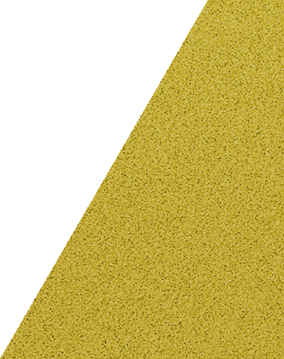 Fliptile Mustard