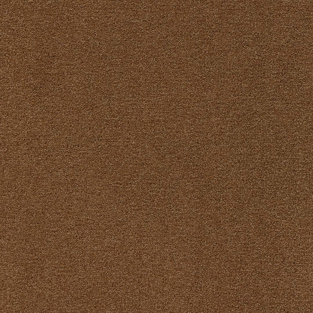 Belgotex Arabica - Buzzing Brew Swatch