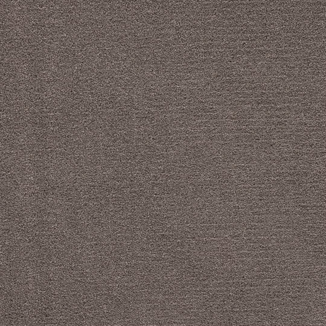 Belgotex Arabica - Smooth Roast Swatch