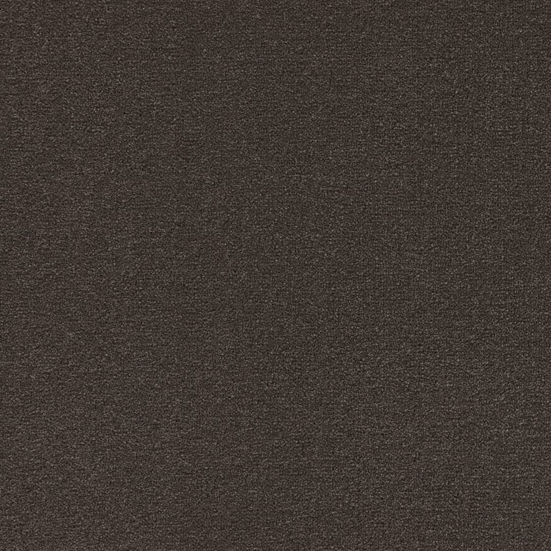 Belgotex Latte - Chalkboard Swatch