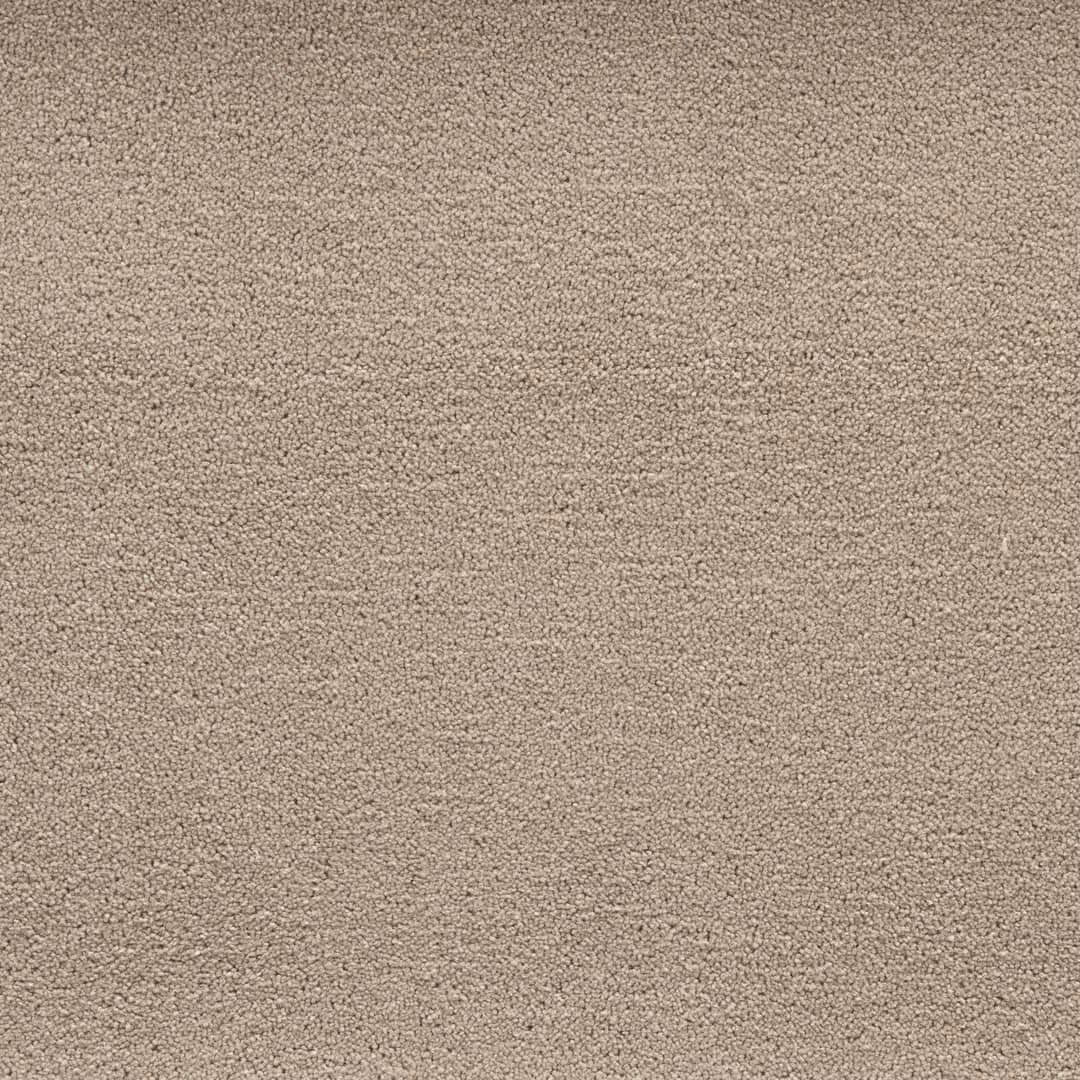 Belgotex Latte - Flat White Swatch