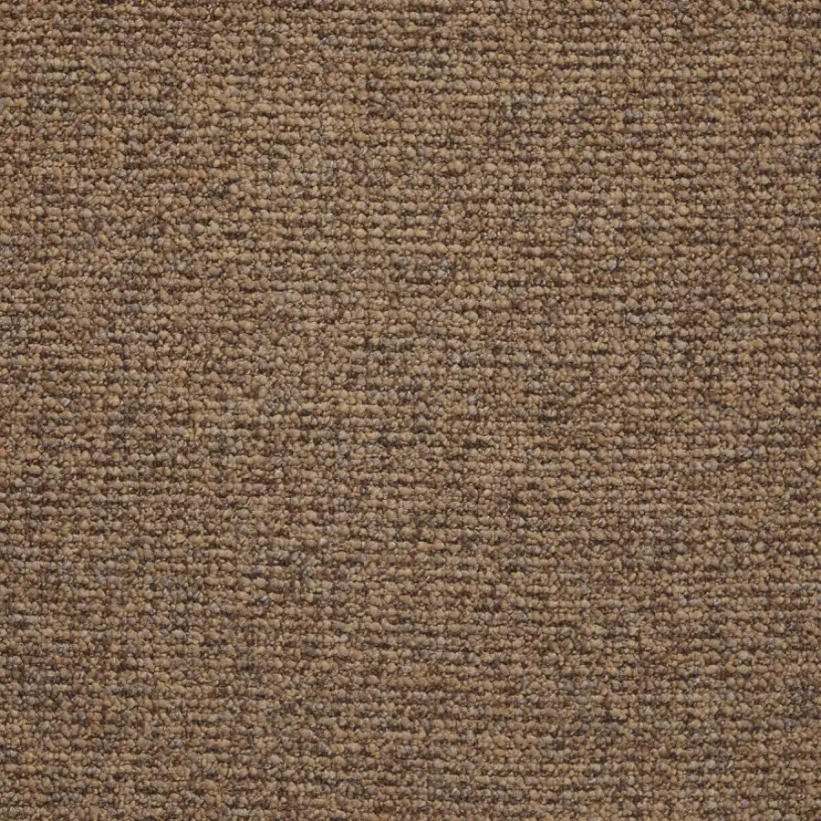 Belgotex Longevity Grandeur - Raw Umber Swatch