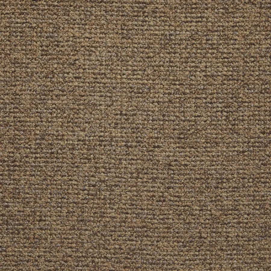 Belgotex Longevity Grandeur - Raw Umber Swatch