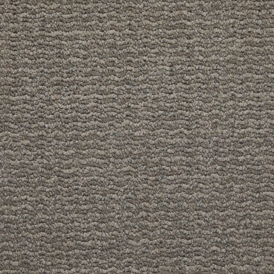 Belgotex Longevity Serenity - Colluvial Swatch