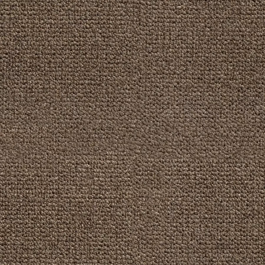 Belgotex Merino - Karakul Swatch