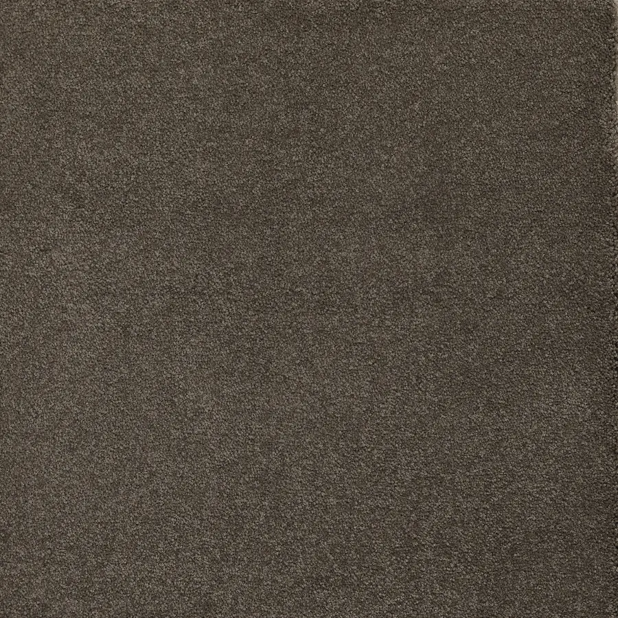 Belgotex Sensology Aural - Thunderous Swatch