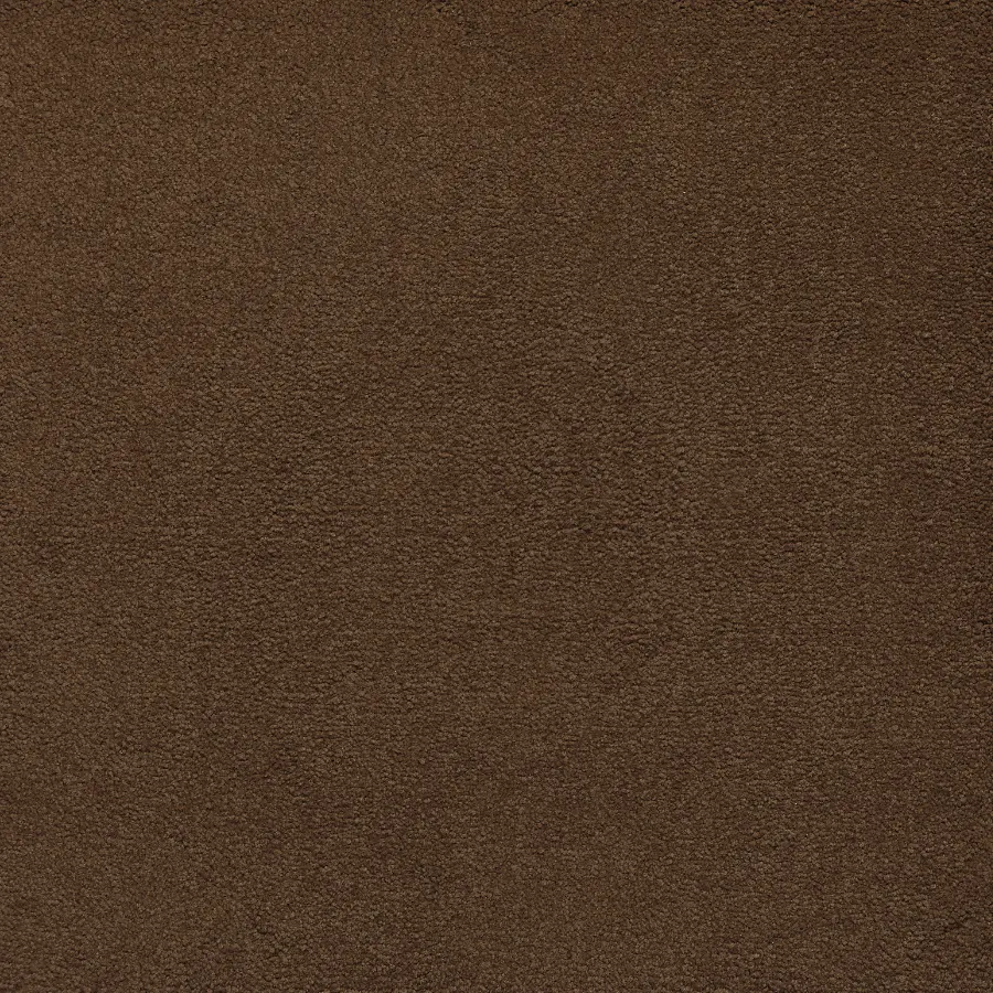 Belgotex Sensology Lush - Extravagant Swatch