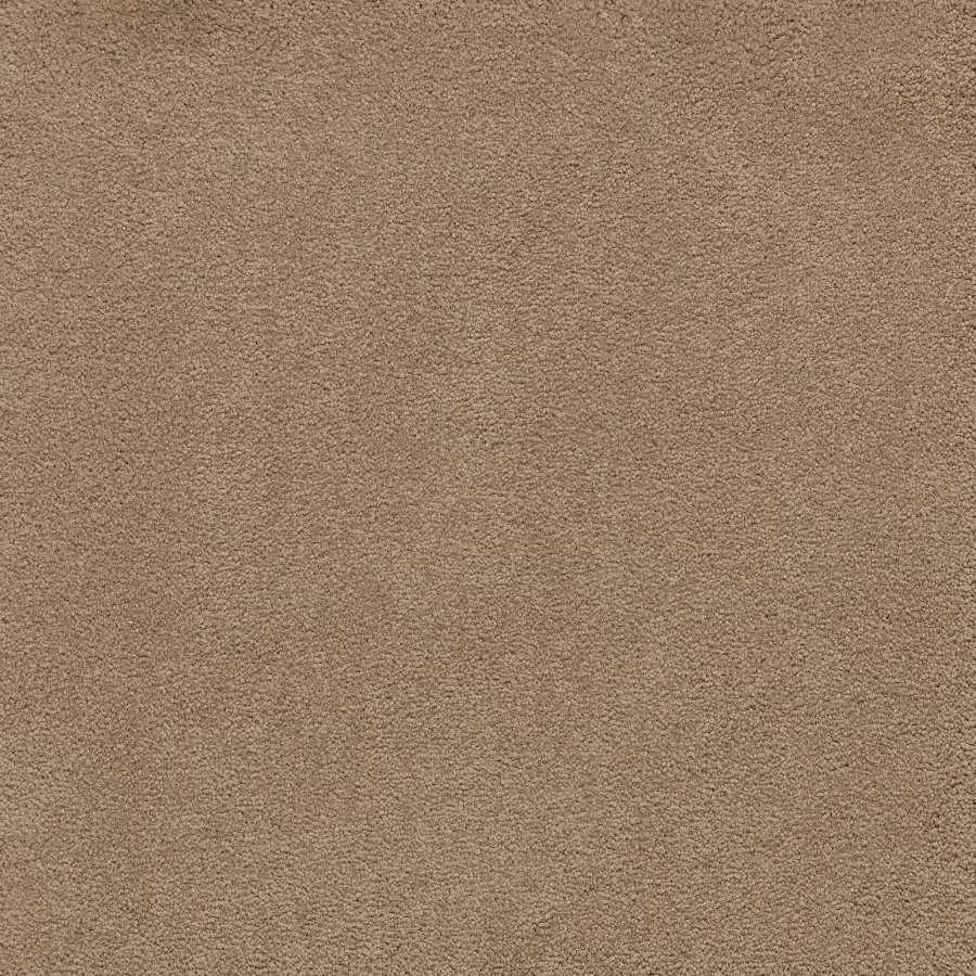 Belgotex Sensology Lush - Grandiose Swatch