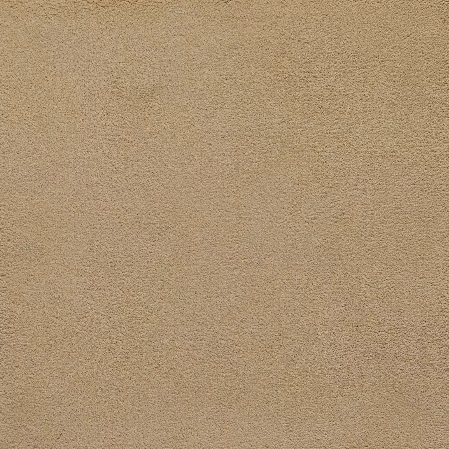 Belgotex Sensology Lush - Palatial Swatch