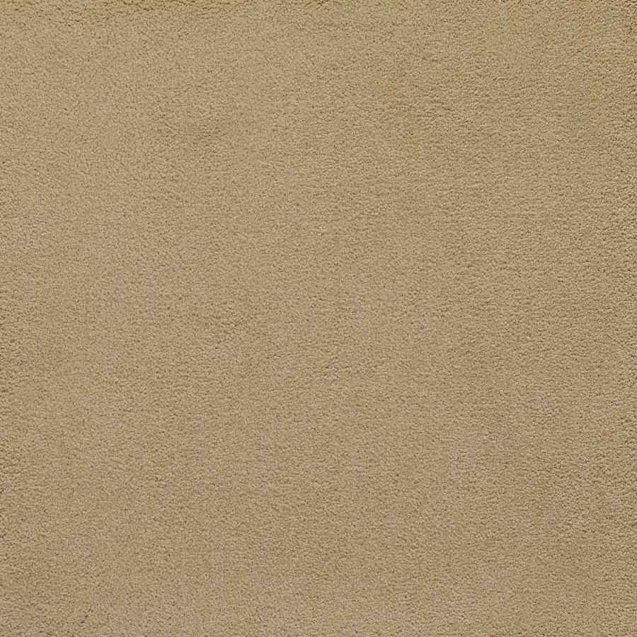 Belgotex Sensology Lush - Palatial Swatch