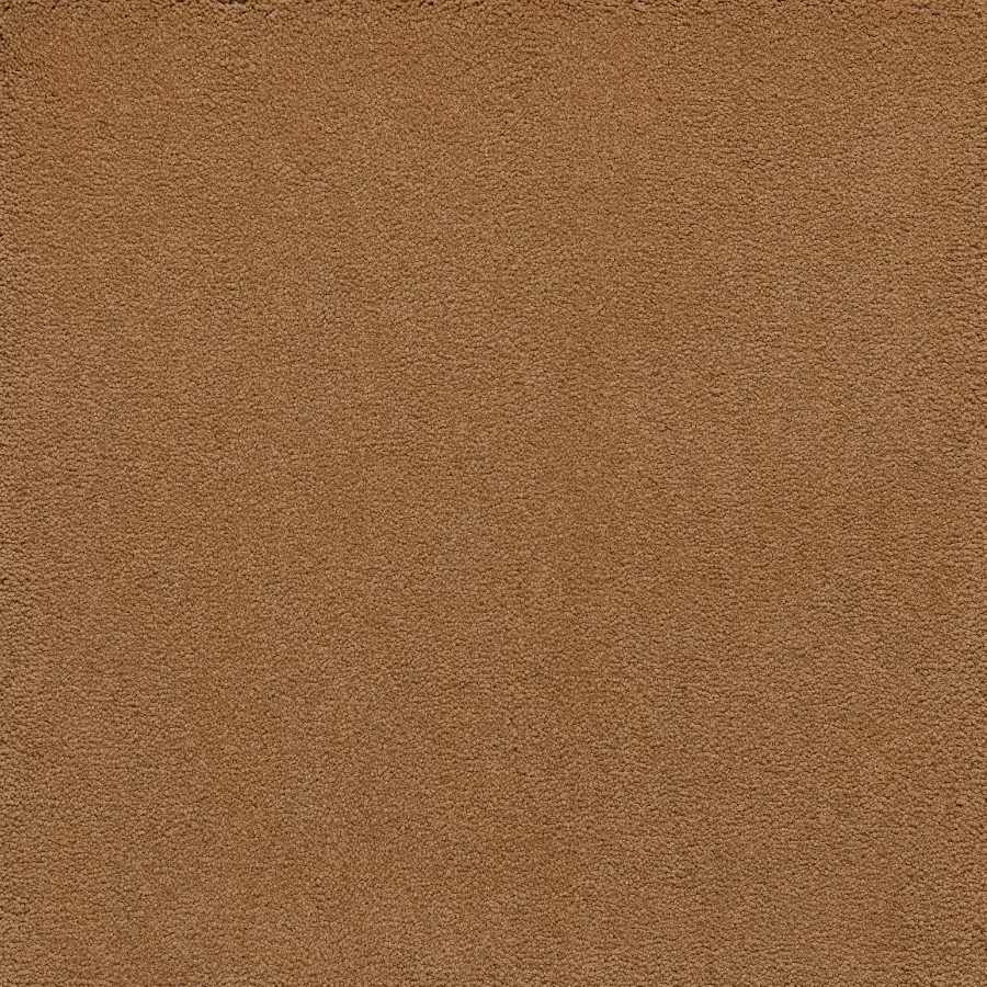 Belgotex Sensology Lush - Regal Swatch