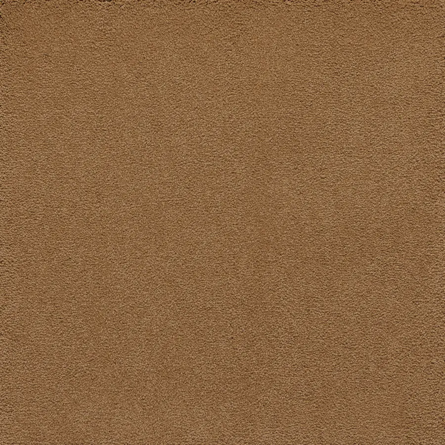 Belgotex Sensology Lush - Regal Swatch