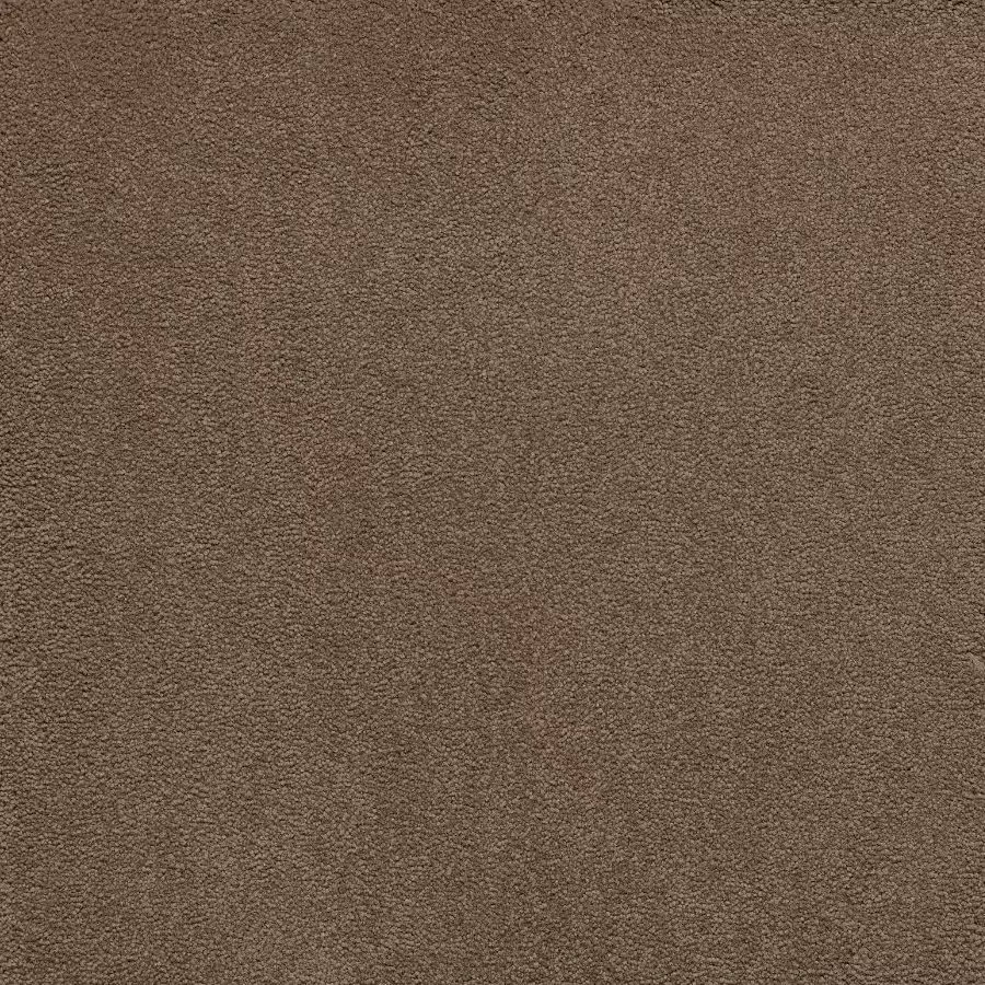 Belgotex Sensology Lush - Splendid Swatch