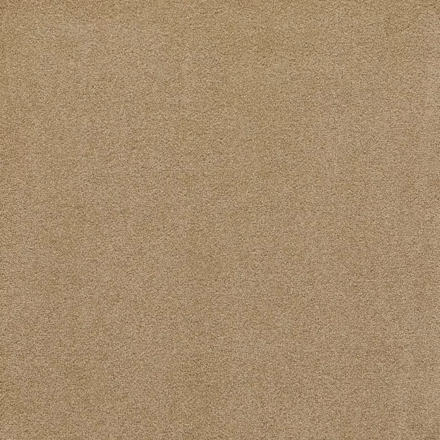 Belgotex Sensology Tactual - Downy Swatch