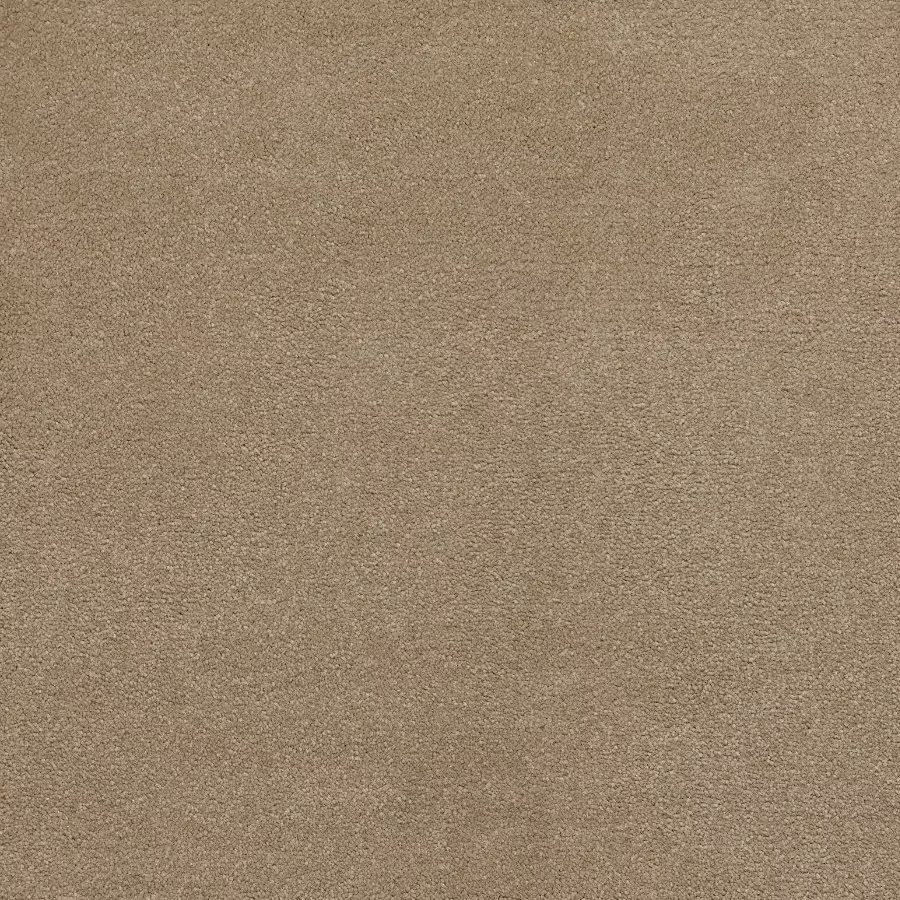 Belgotex Sensology Tactual - Snuggly Swatch