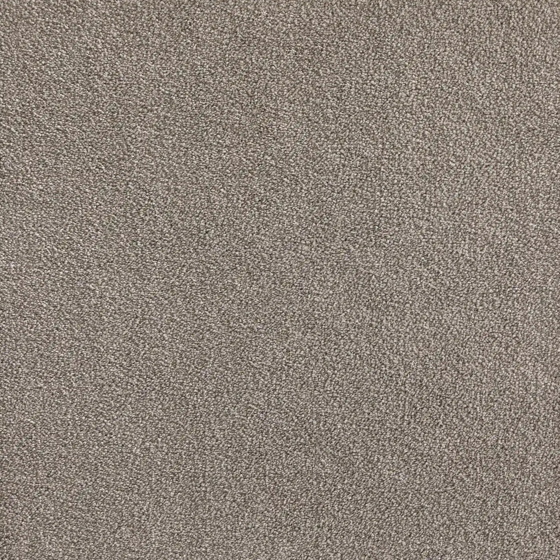 Belgotex Softology Ultra - Cashmere Swatch