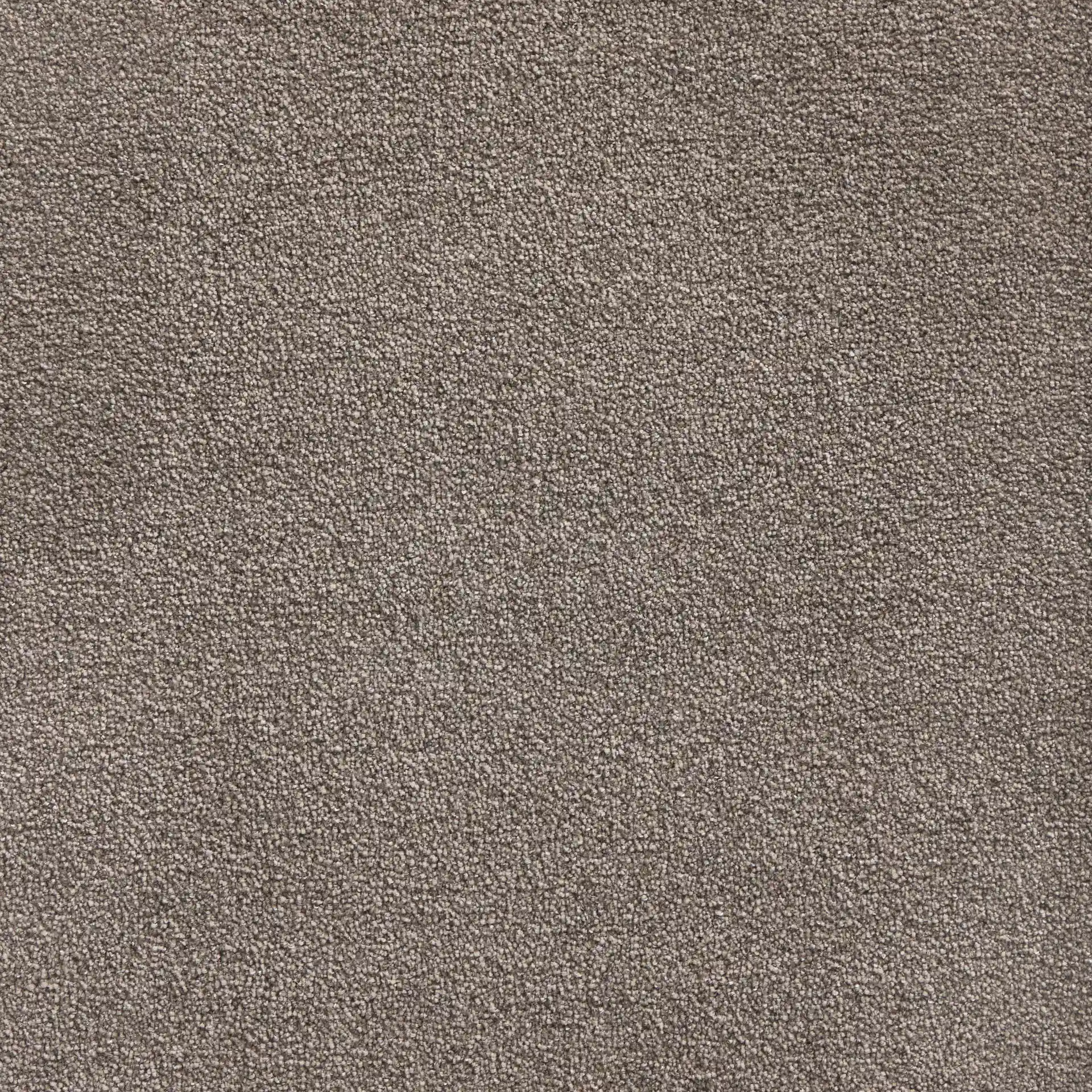 Belgotex Softology Ultra - Luxe Swatch