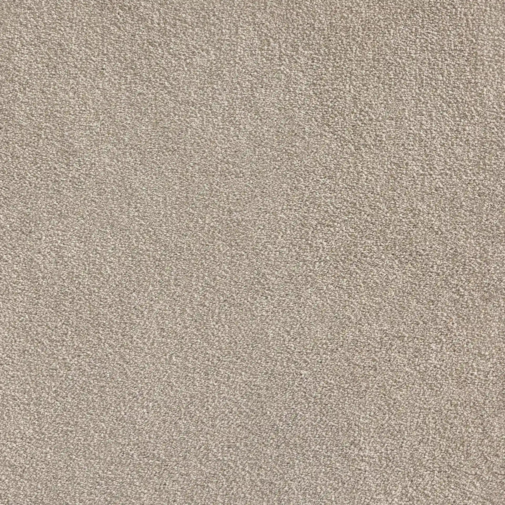Belgotex Softology Ultra - Tawny Swatch