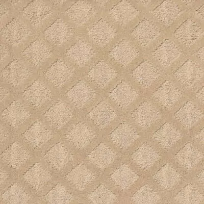 Belgotex Textured - Mesh - Earthy Swatch